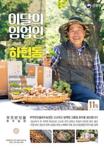 호두 재배 순 지르기 수분 수정 고온 피해 예방_8