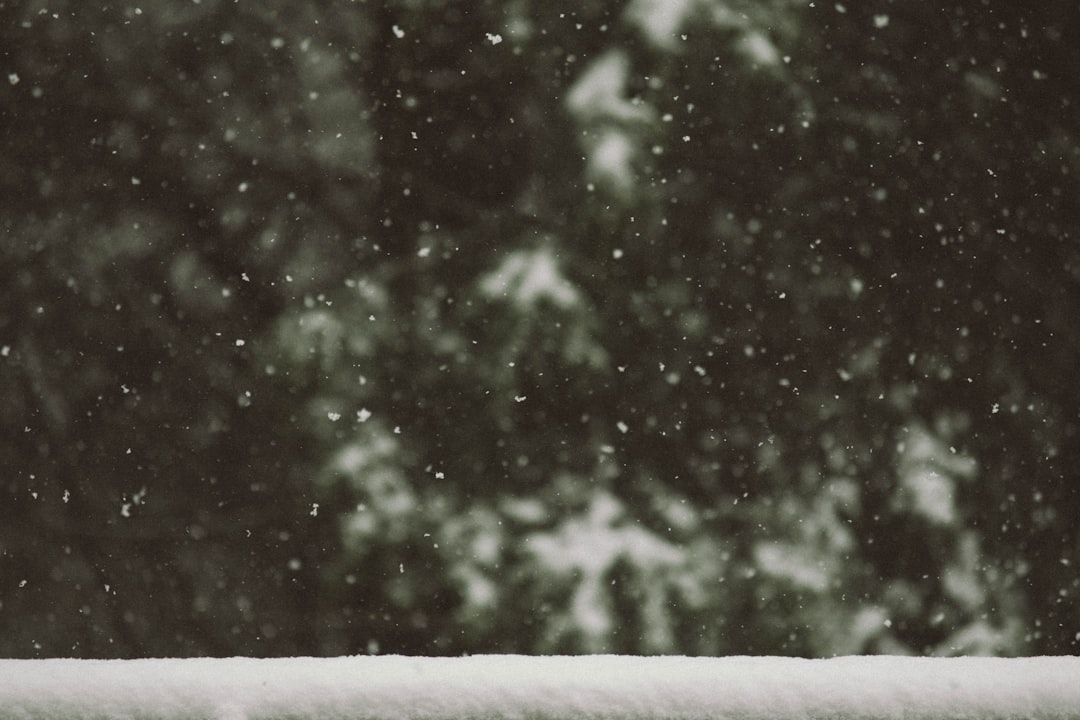 snow