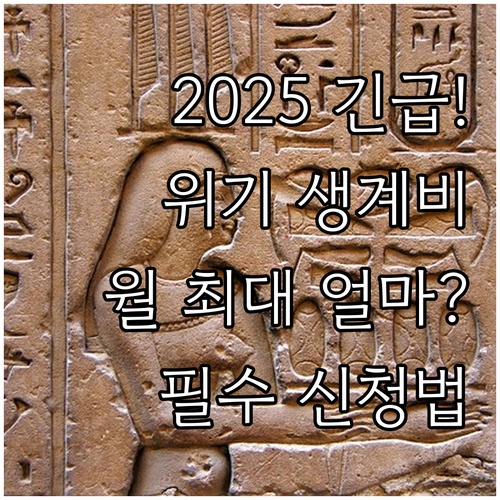 갑작스러운 위기 극복 2025 긴급생..