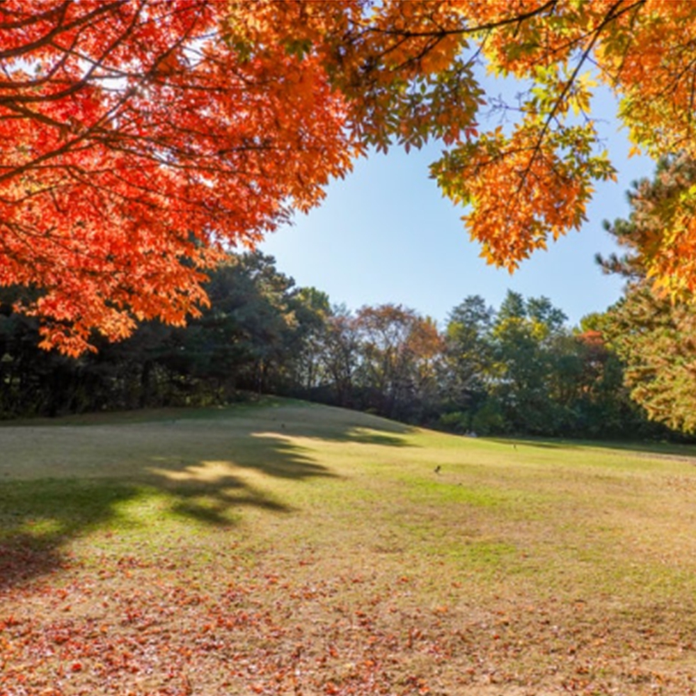 어린이대공원