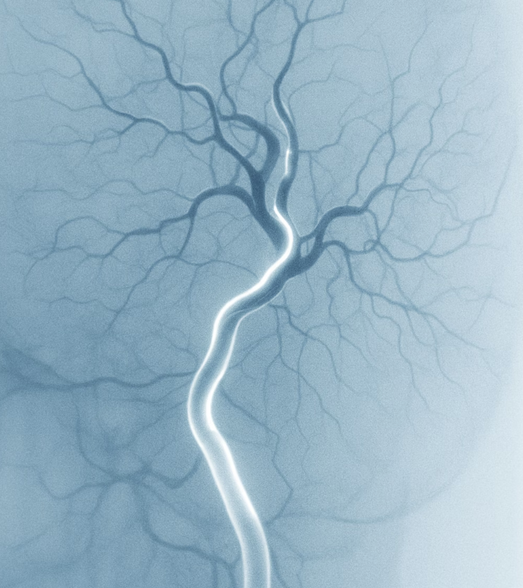 보이지 않는 길을 비추는 지도 그리기