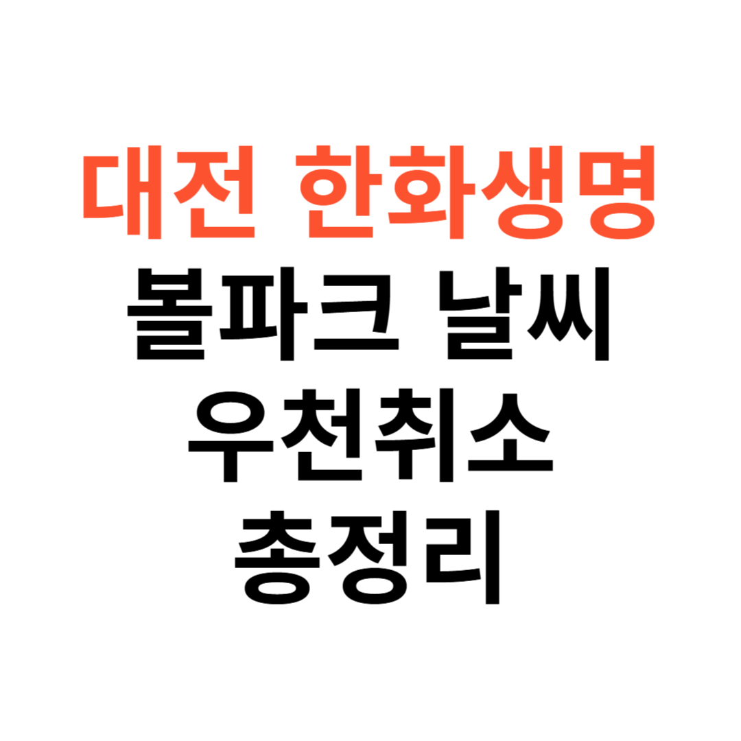 볼파크 날씨 정보
