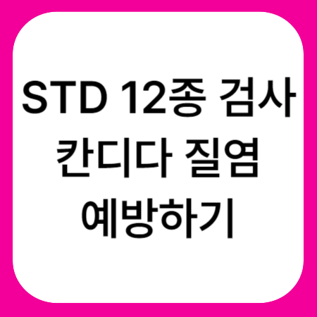 STD-12종