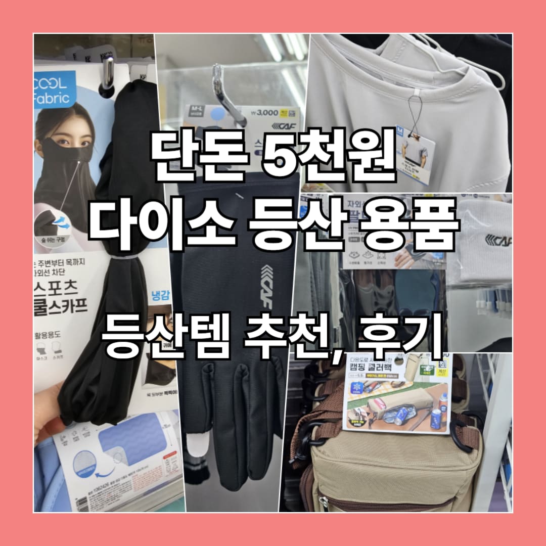 다이소 추천 등산템