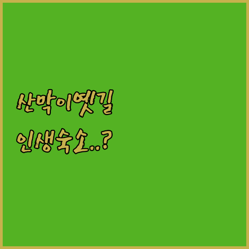 괴산 산막이옛길 숙소 추천 TOP 5..