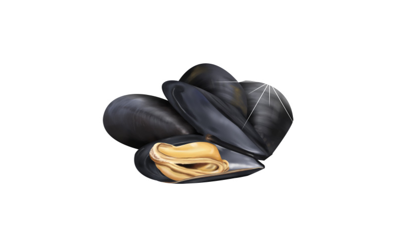 비브리오패혈증15