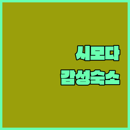 시라하마 해변 근처 시모다 숙소 5선..