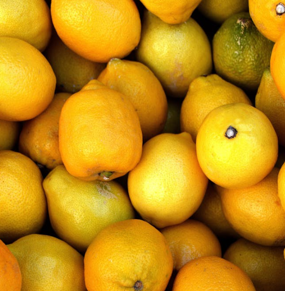 허리에 좋은 음식