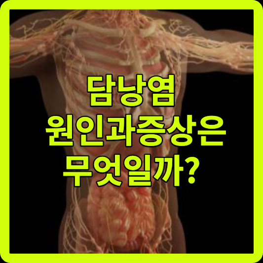 담낭염 원인과 증상