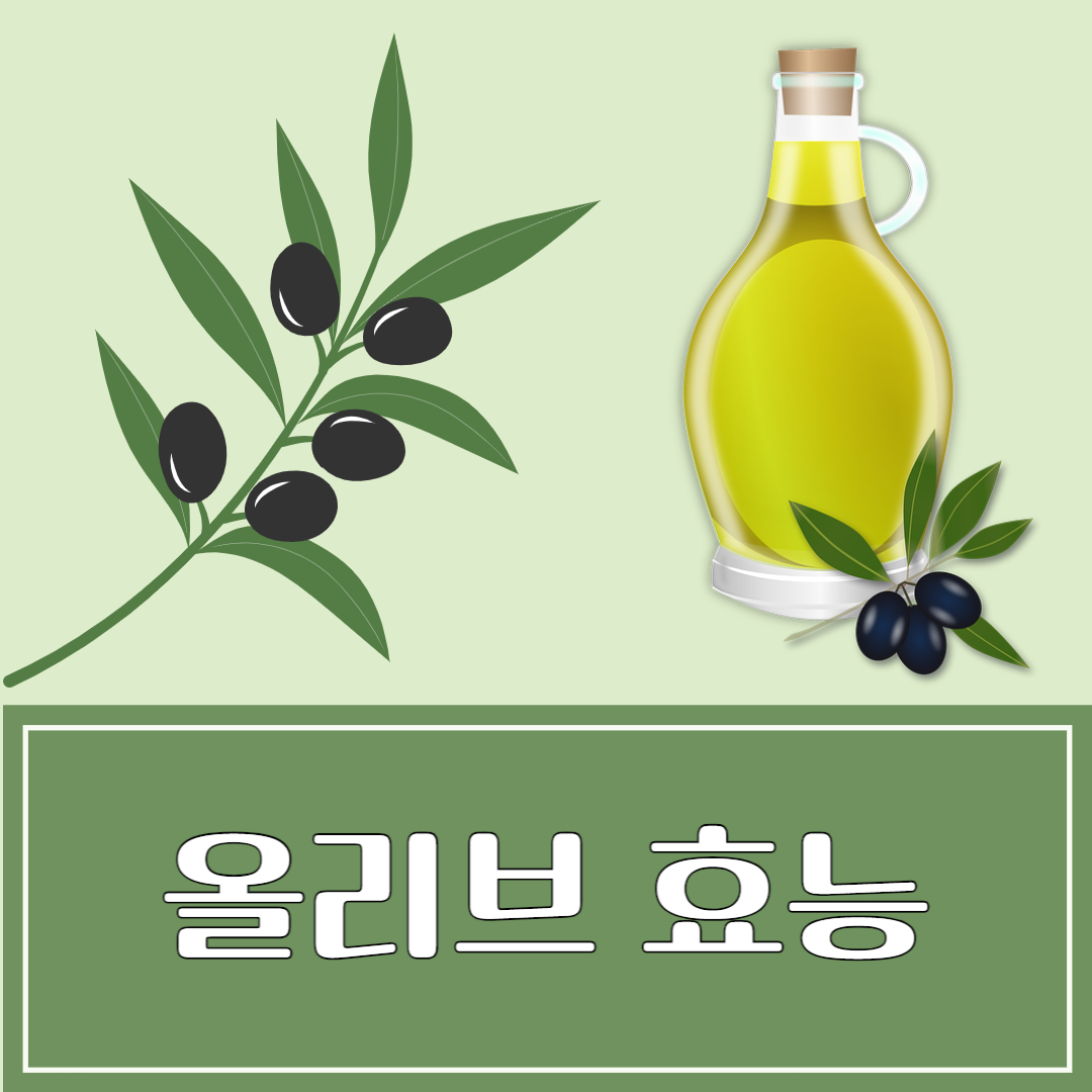 올리브 효능 및 부작용