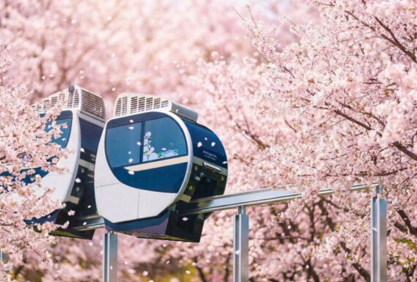 화담숲 예약안내 모노레인 예매 벚꽃 수선화 축제 안내