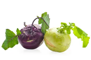 콜라비 효능 및 영양성분&amp;#44; 가격과 먹는법