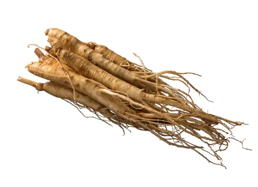 도라지의 효능, 건강에 좋은 이유 10가지