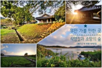 무안 가볼만한곳 베스트10 현지인 추천 필수코스_3