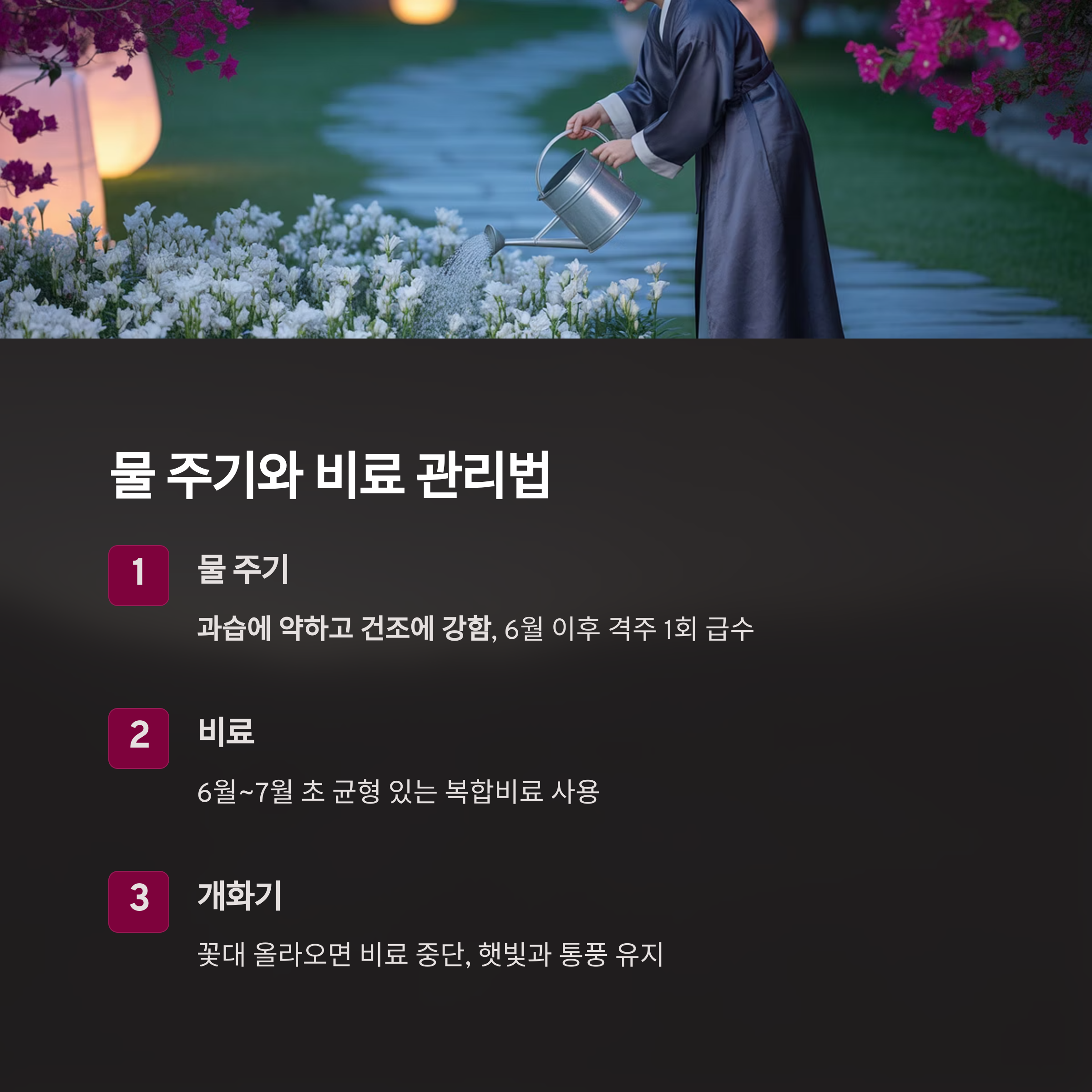 튜베로즈 물 주기와 비료, 어떻게 관리할까?