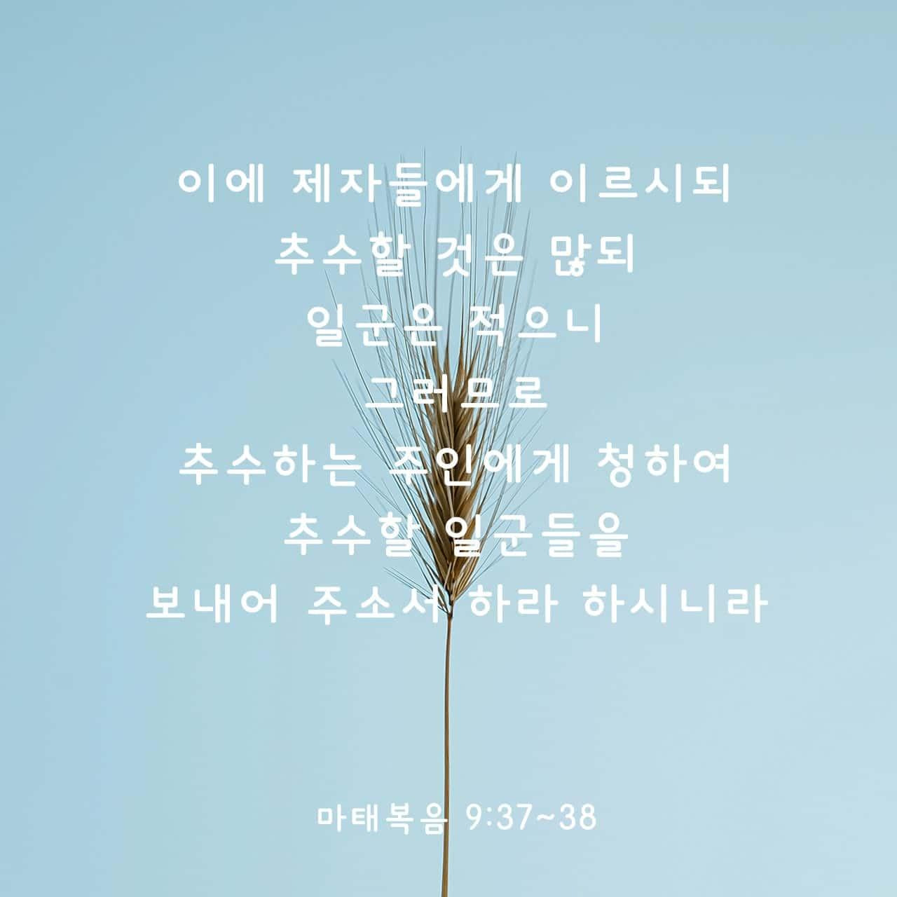 마태복음-9장-37-38절