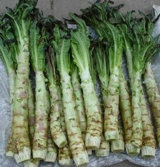 궁채 효능 부작용 나물 고르는법 칼로리