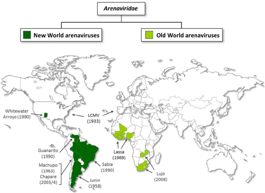 아레나바이러스 풍토병 지역