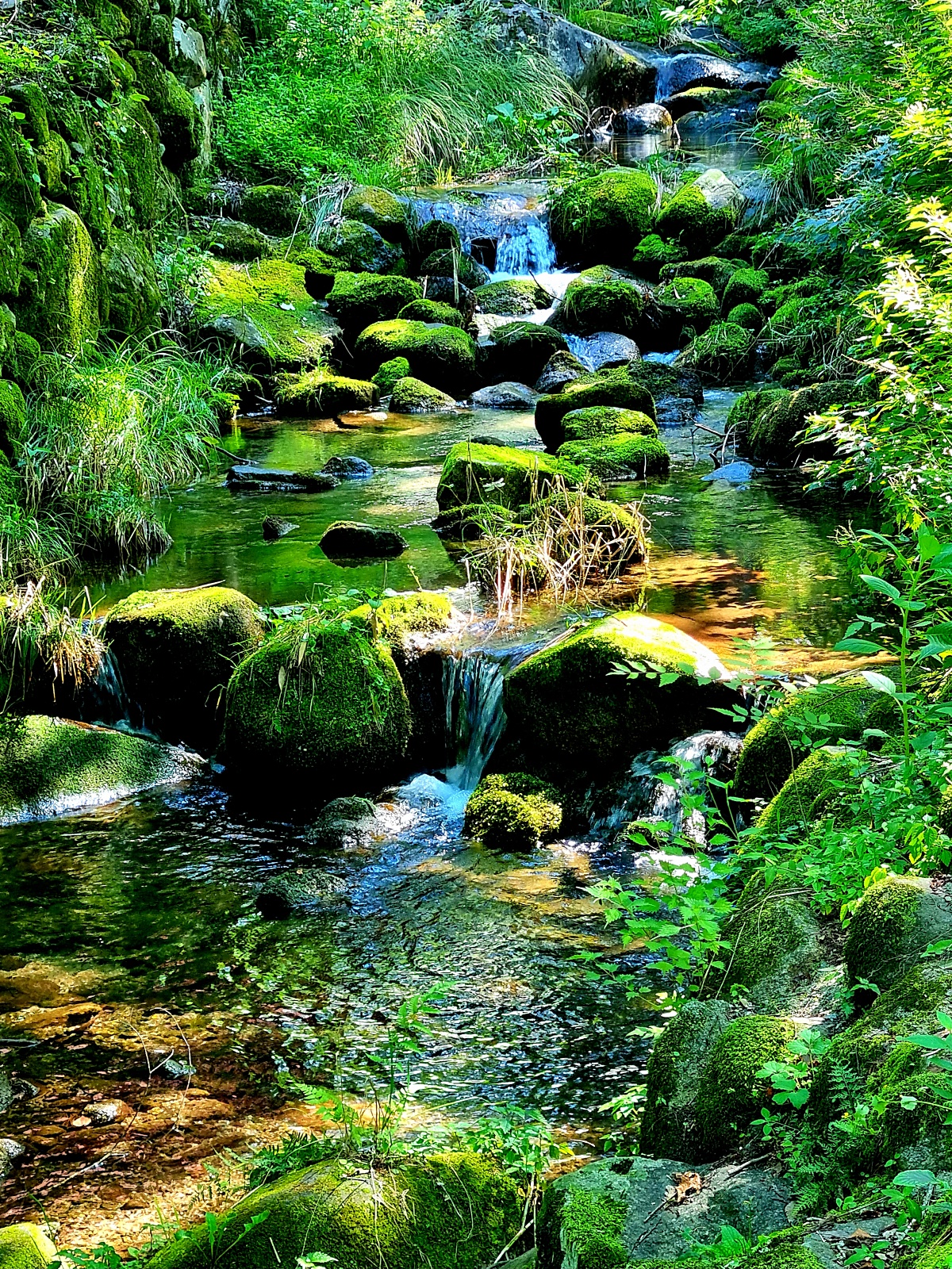 경남 하동 쌍계사: 맑은 계곡이 흐르는 지리산의 절