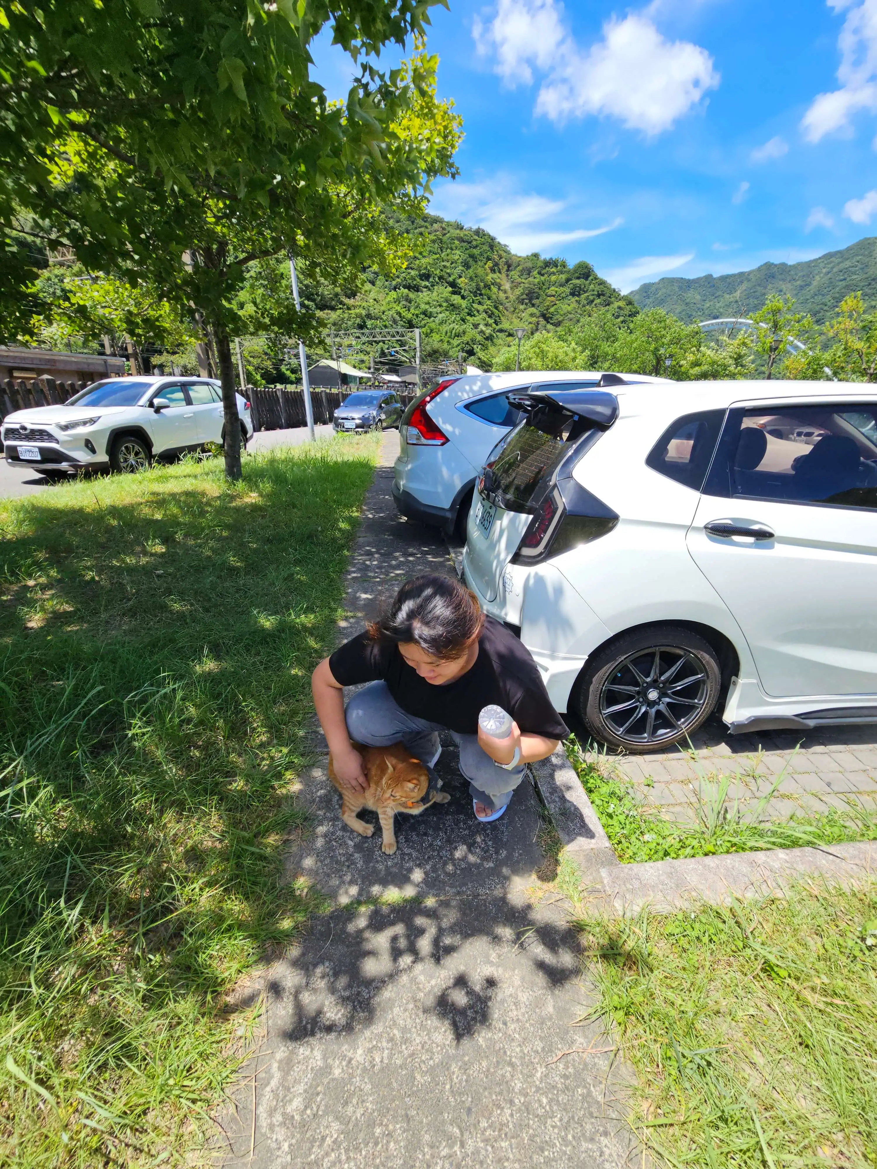 타이베이 근교 택시투어 추천 | 예류·스펀·허우통·진과스·지우펀 하루 루트 정리