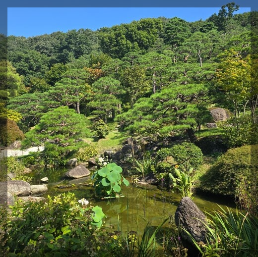 화담숲 데이트 코스 완벽 가이드: 자연 속 힐링과 맛집 탐방