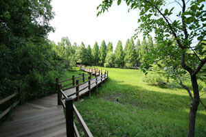 습지생태식물원