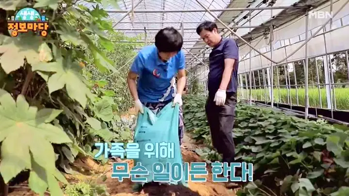 뷰티풀 맘마미아 가족을 위해 헌신한 엄마 잃어버린 청춘 돌려주기 주름 개선 시술 병원 신청 방법 안내