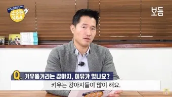 강아지 고개 갸우뚱 이유 의미 뜻_7