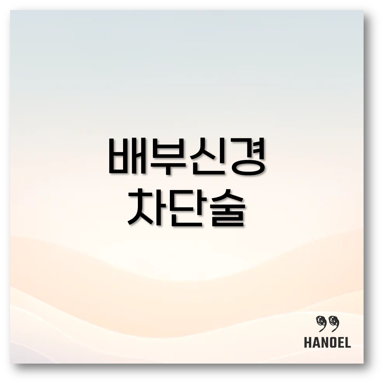 배부신경 차단술