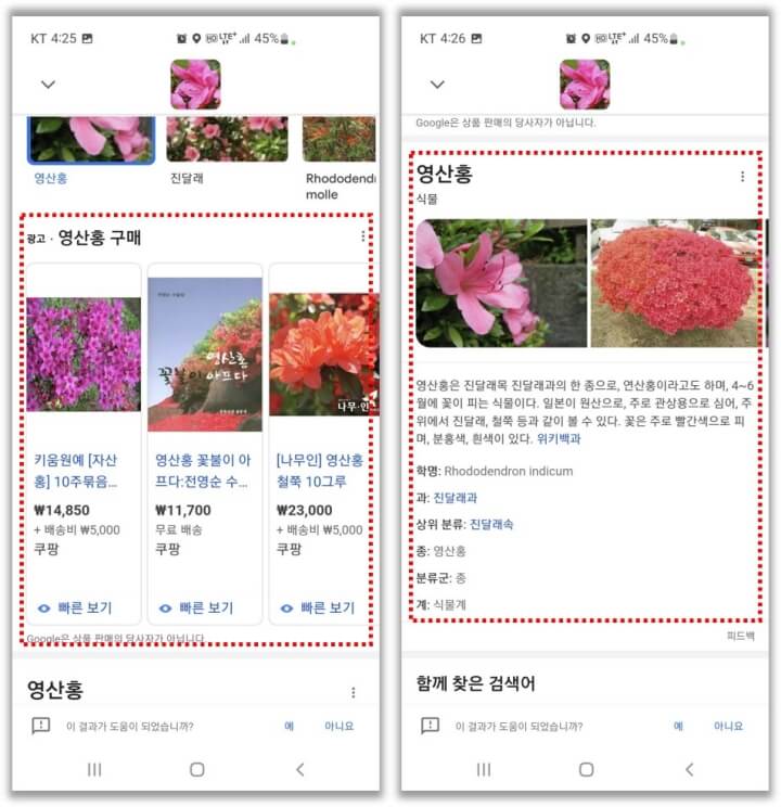 구글-검색-결과