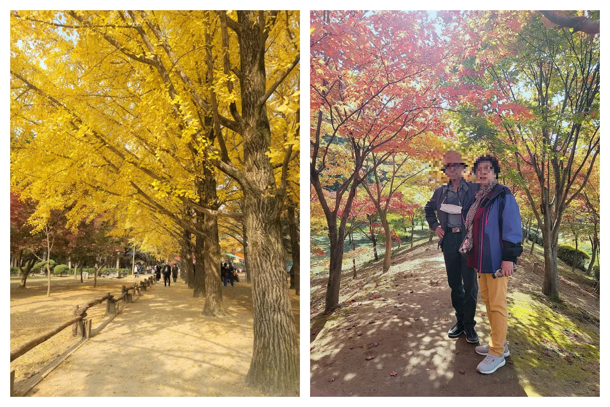 은행나무길_단풍길_사람2명_햇살