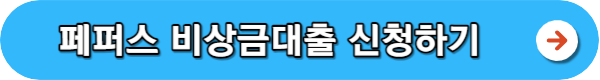소액대출