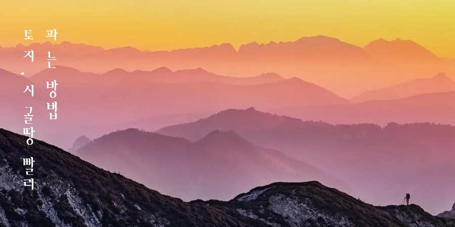 시골땅 빨리 파는 방법