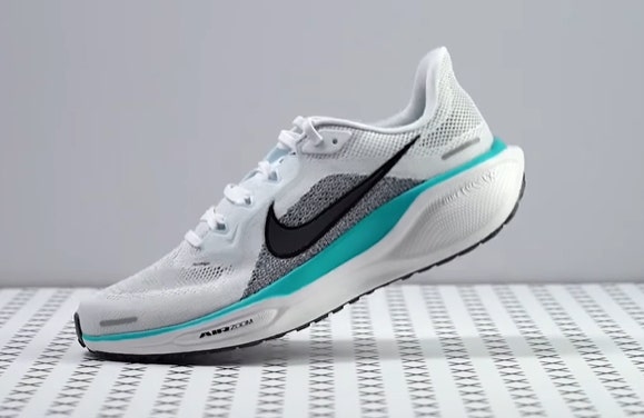 나이키 페가수스 41 사진