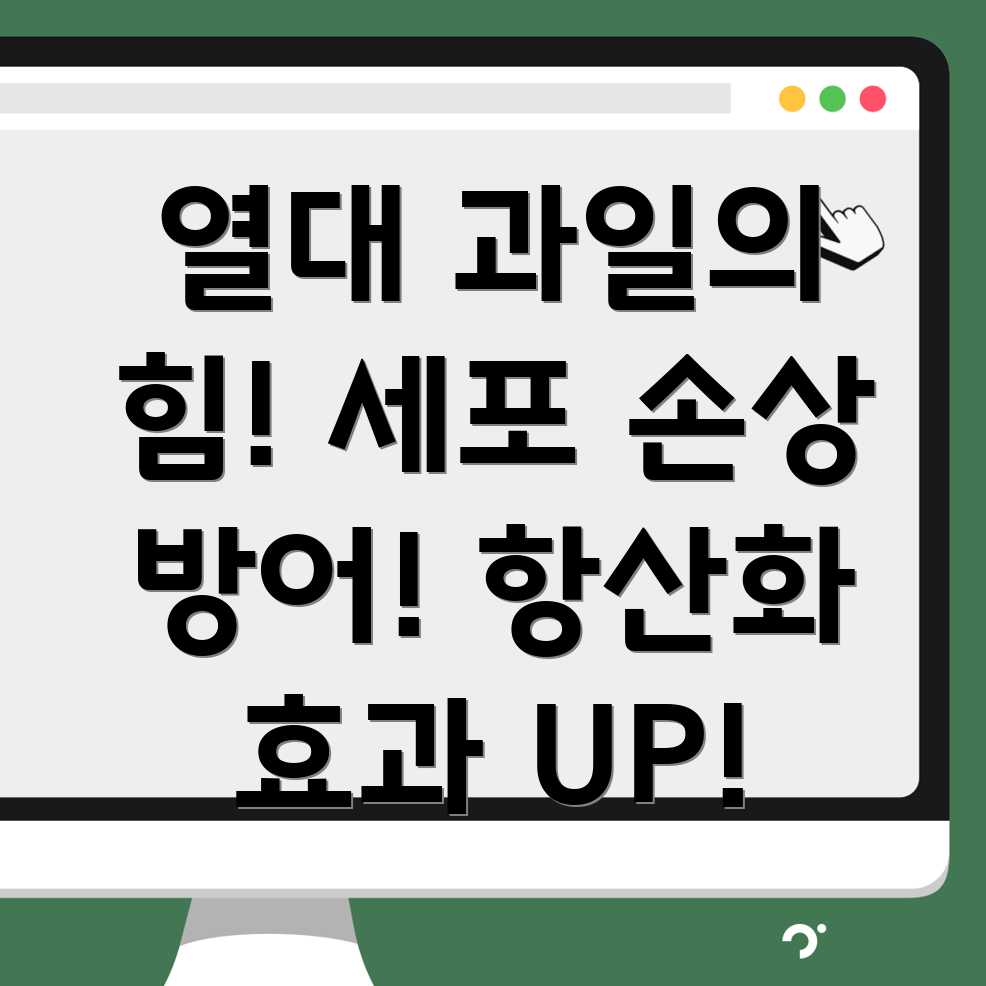열대과일 항산화제
