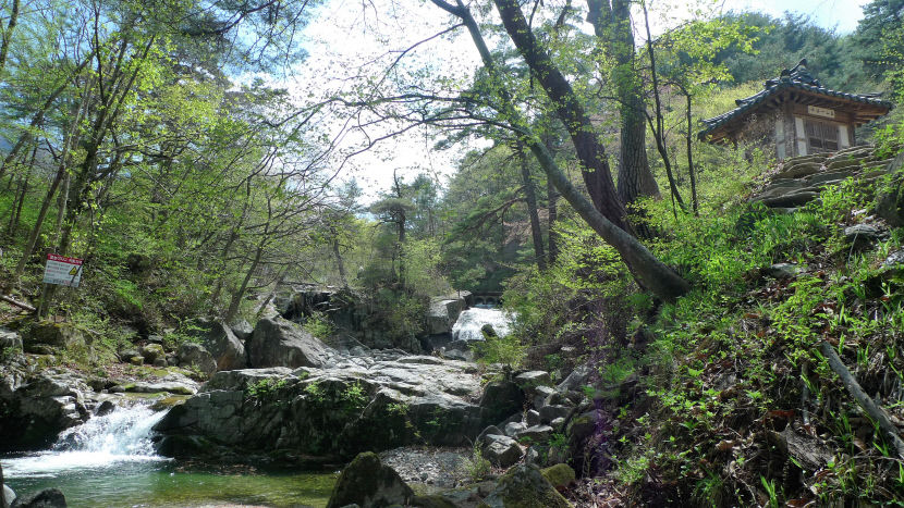 경기 동북부 계곡