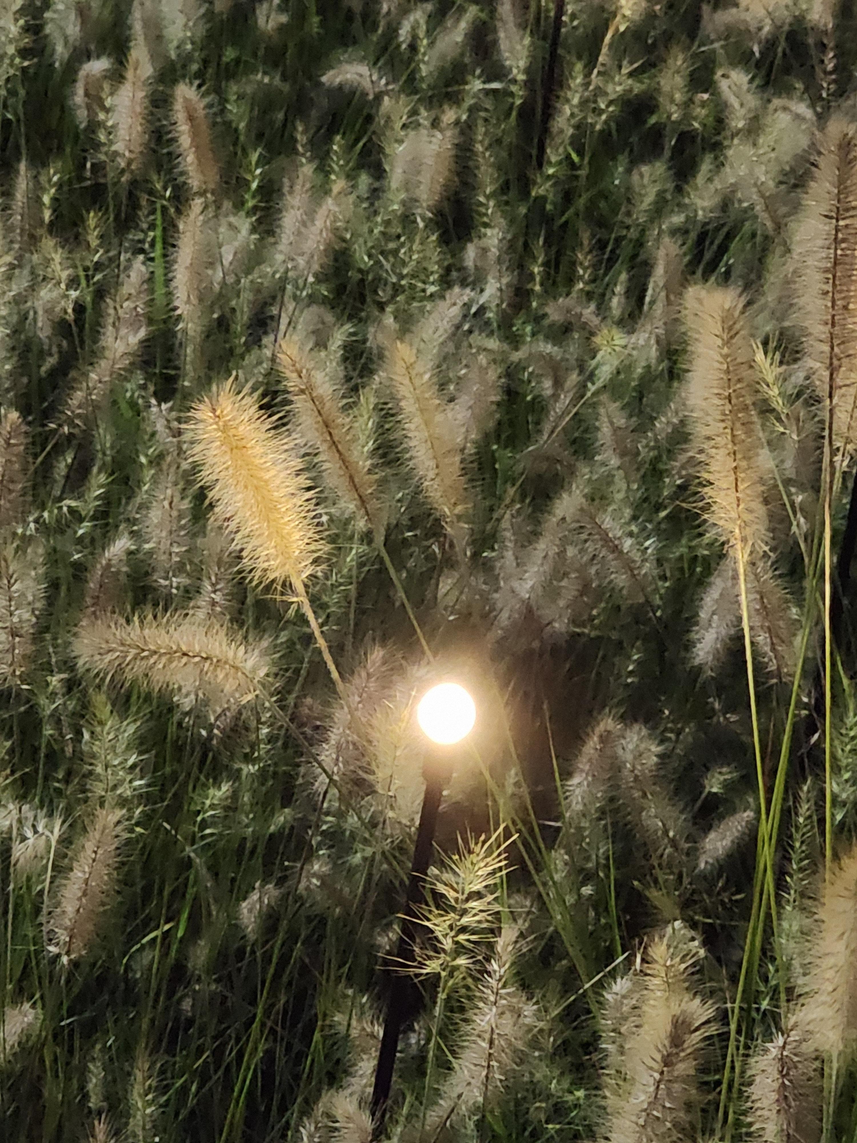 Alt 속성 문제 해결 설명 이미지