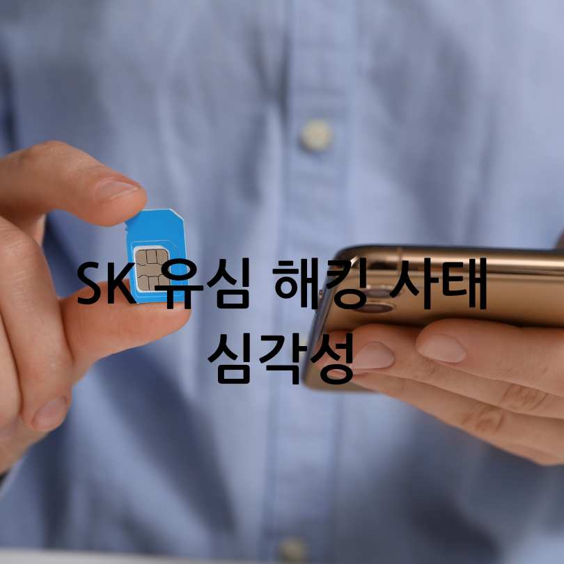 다른 SIM 사용제한 기능 : 해제방법, 비밀번호, 대처방법