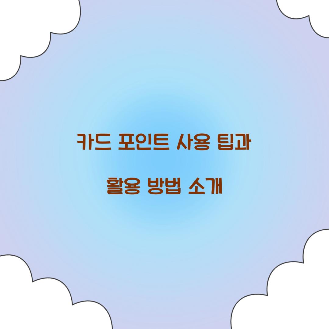 카드 포인트 사용