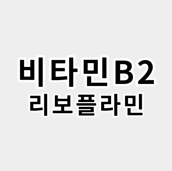 비타민B2리보플라민