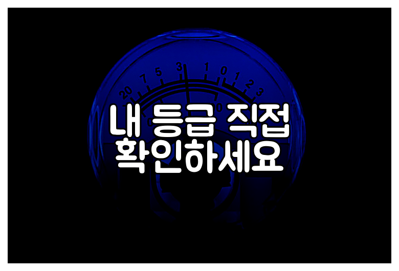 내 등급 직접 확인하세요