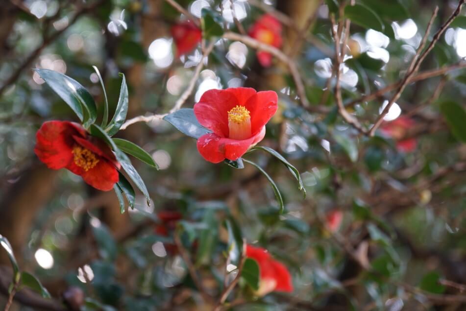 광양 관광지 추천 여행코스 추천