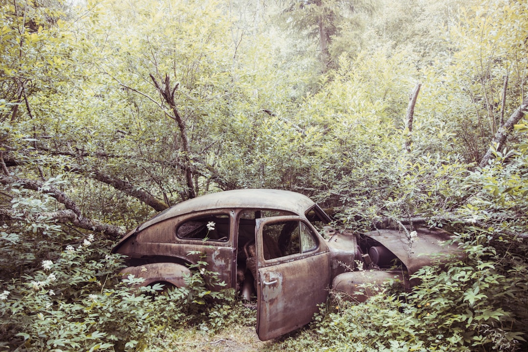 Junkyard