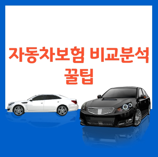 자동차보험 비교분석 꿀팁