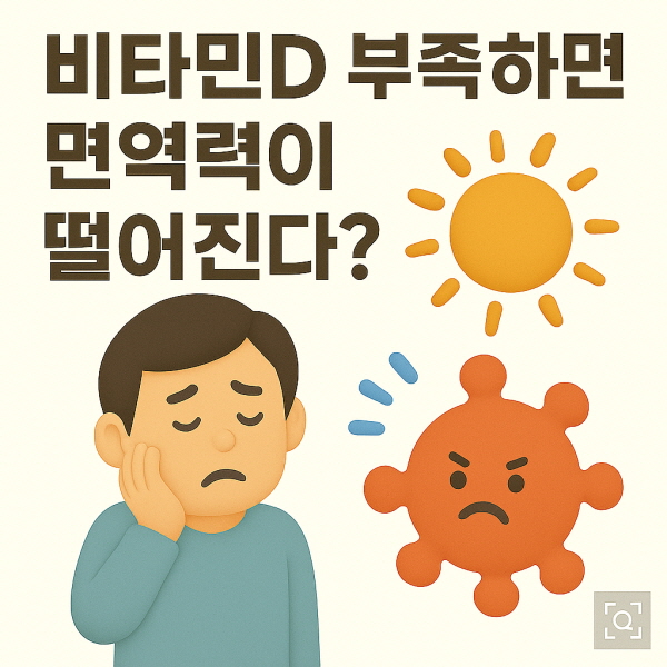 비타민 D 부족하면 면역력이 떨어진다/GPT