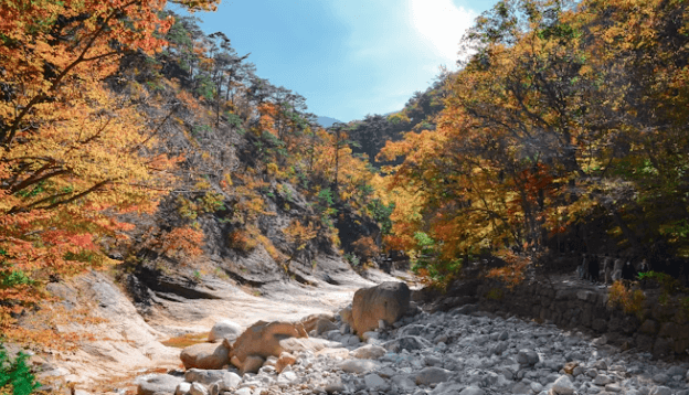 가을 여행 할인 총정리: 교통&amp;#44; 숙박비 최대 50% 아끼는 법