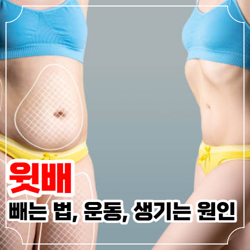 윗배 빼는법과 윗뱃살 원인