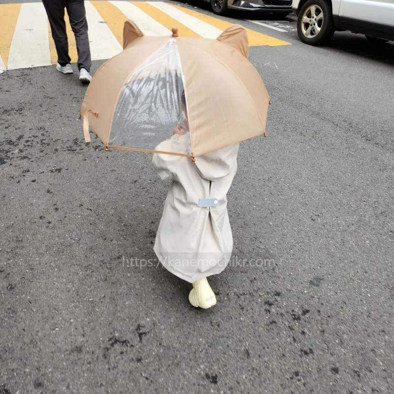 아가드-아기우산