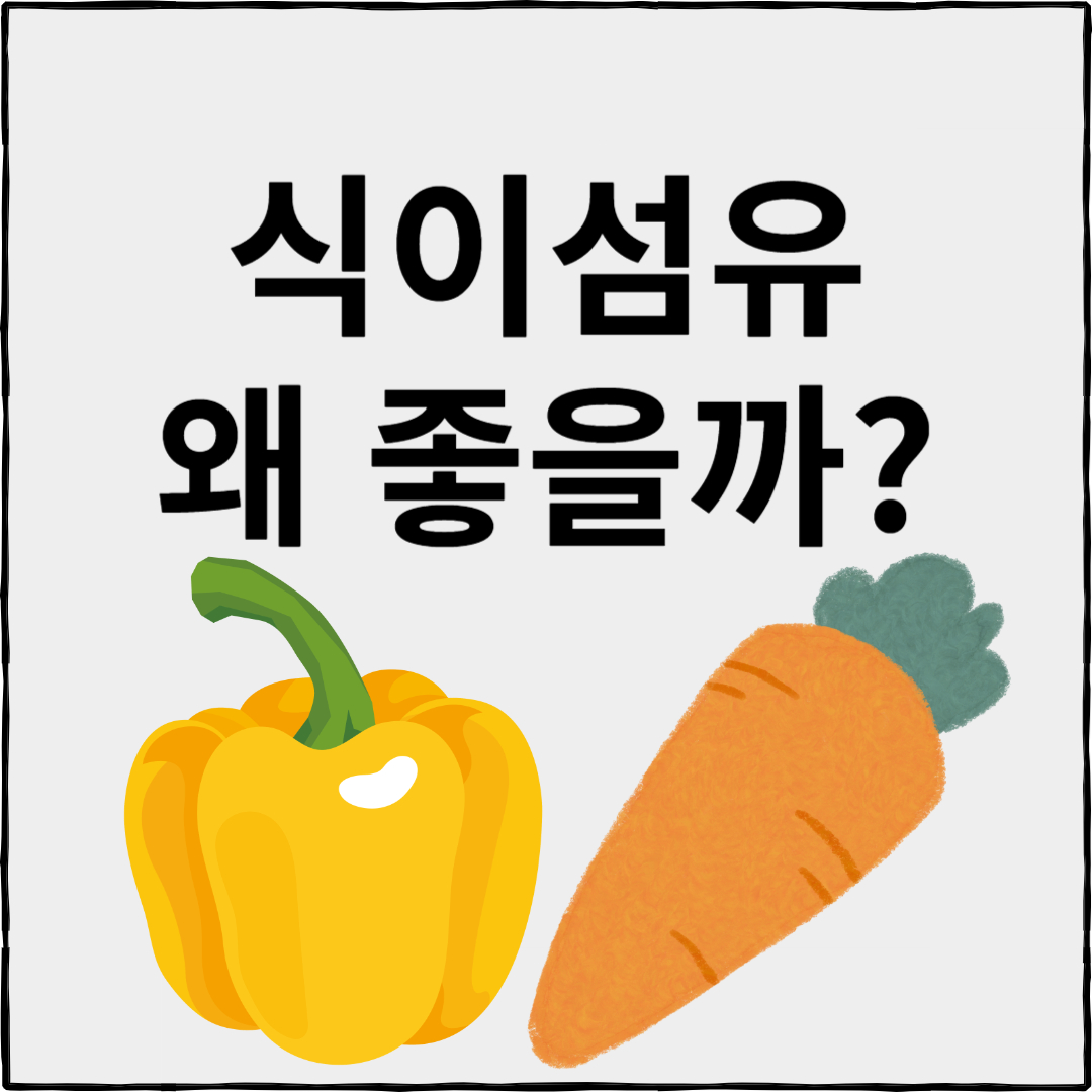 식이섬유의 효능