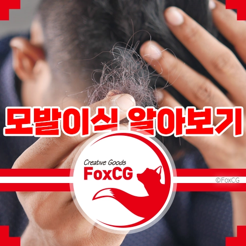 탈모 치료의 끝판왕&#44; 모발이식 알아보기